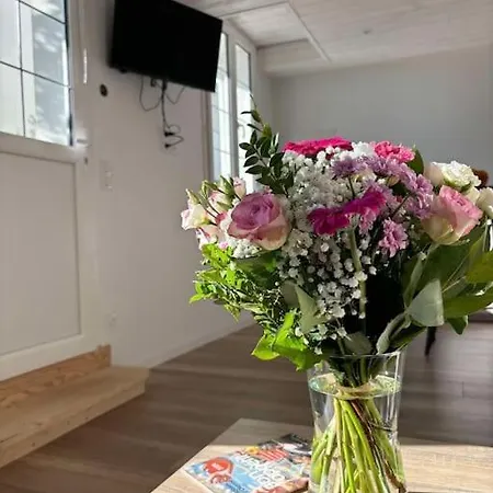 L'hirondelle, Renove Au Coeur D'arago * لي سابلِ دولونْ