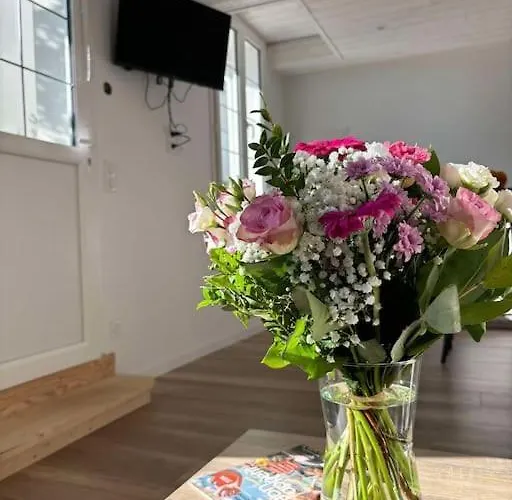 L'hirondelle, Renove Au Coeur D'arago * لي سابلِ دولونْ