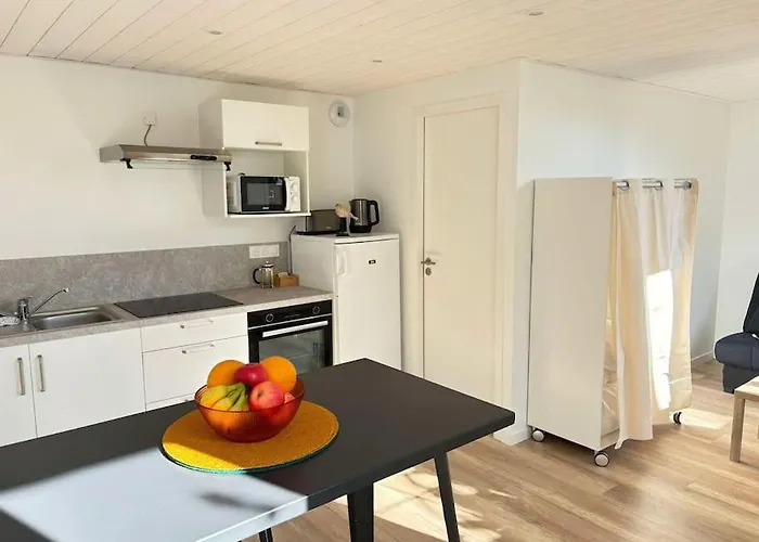 L'hirondelle, Renove Au Coeur D'arago